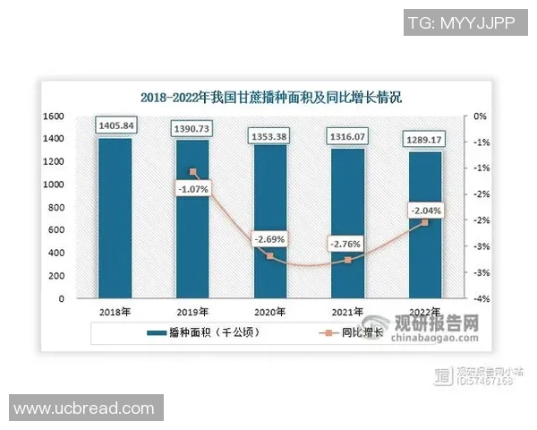 中国经济稳步回升 新一轮政策支持措施助力增长动力全面增强