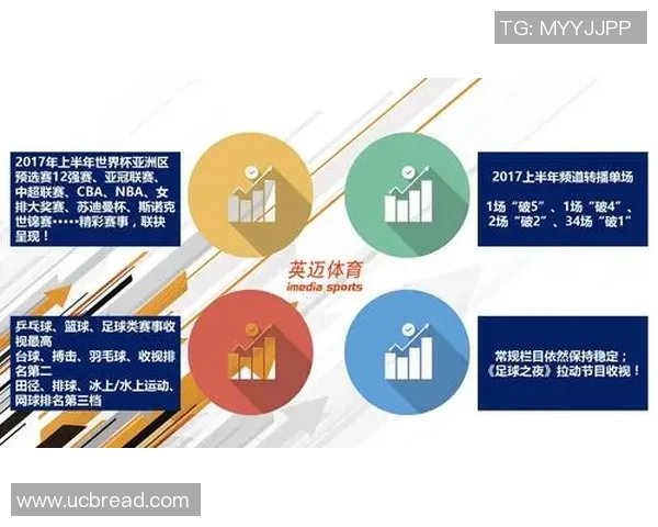 体育管理创新与发展：打造全面可持续的体育产业生态系统