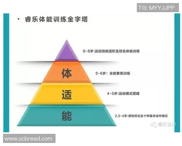 科学羽毛球力量训练全攻略提升你的竞技水平与身体素质